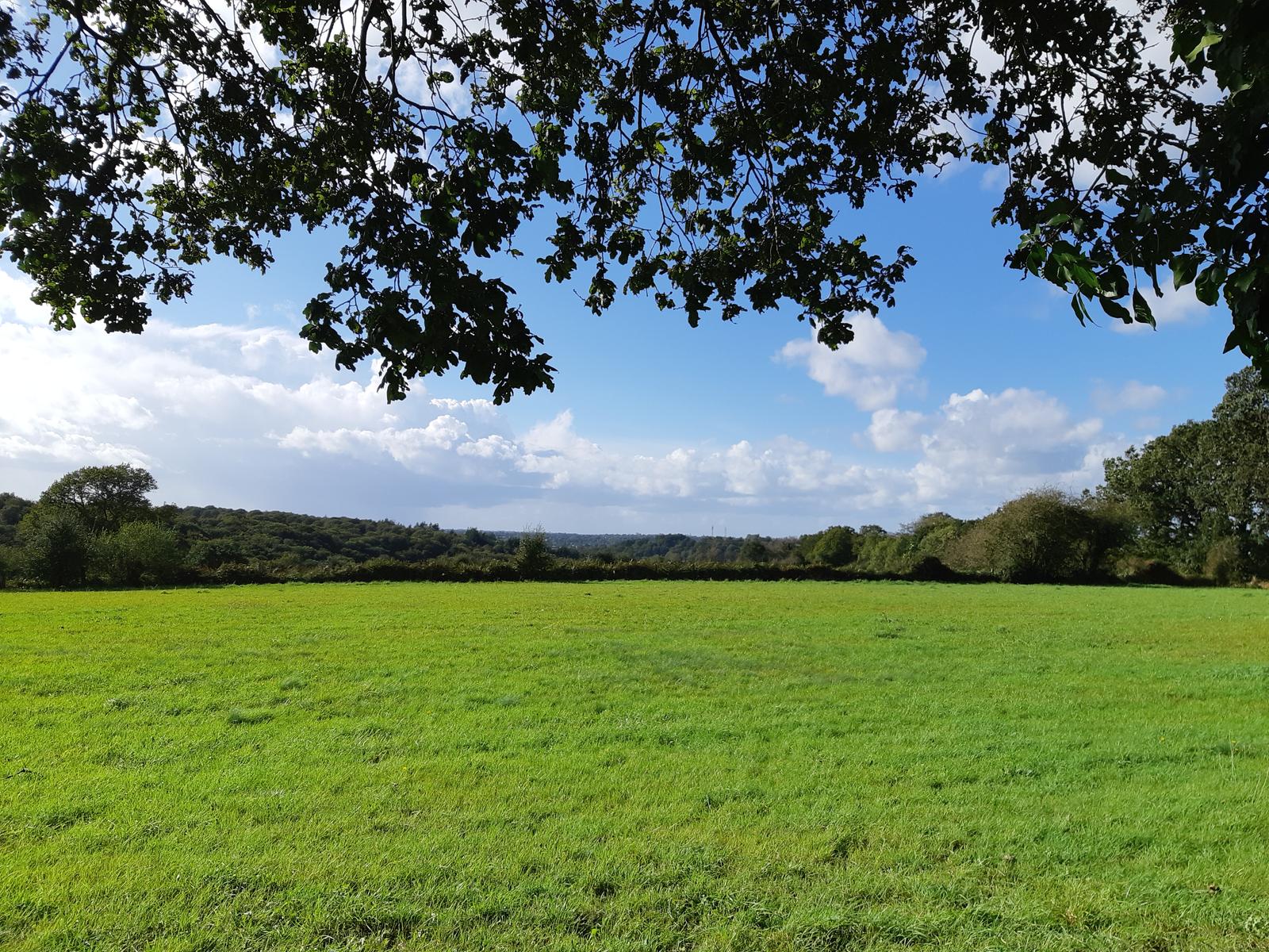 Panorama